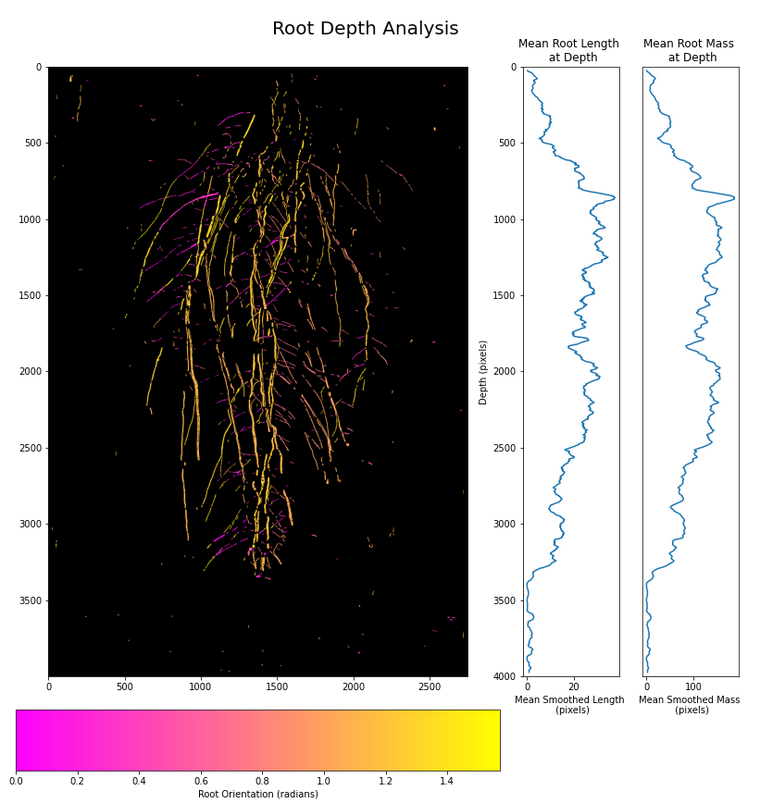 Plant root depth analysis based on geometric image segmentation.